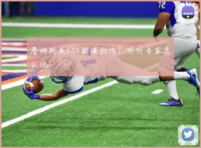 詹姆斯来cba能横扫吗?听听专家怎么说!