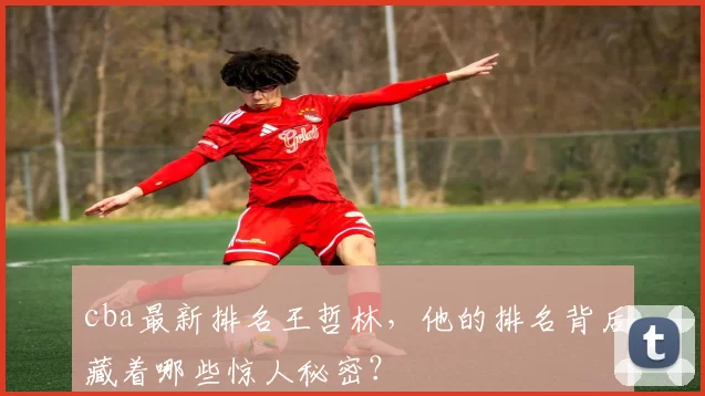 cba最新排名王哲林，他的排名背后藏着哪些惊人秘密？