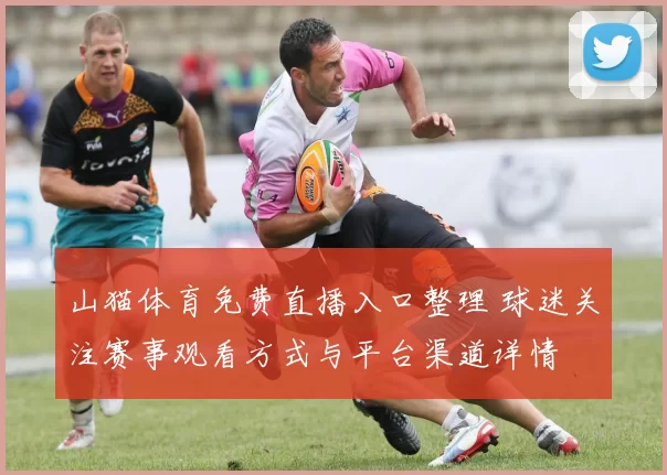 山猫体育免费直播入口整理 球迷关注赛事观看方式与平台渠道详情