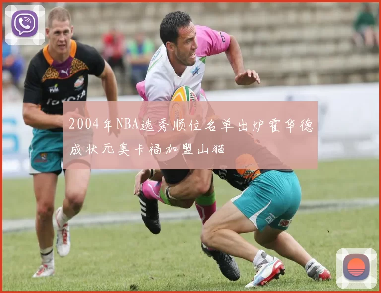 2004年NBA选秀顺位名单出炉霍华德成状元奥卡福加盟山猫