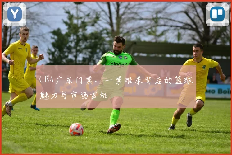 CBA广东门票，一票难求背后的篮球魅力与市场玄机